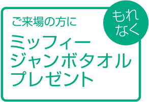 ご来場の方にもれなくミッフィージャンボタオルプレゼント